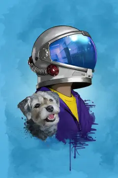 Обложка: Чудо