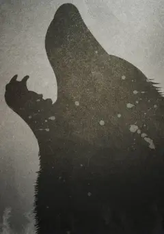 Обложка: Схватка
