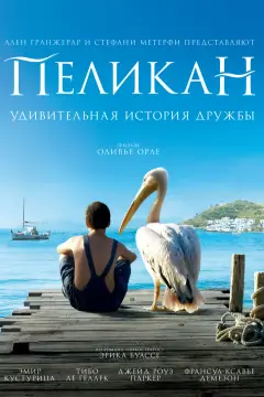 Обложка: Пеликан
